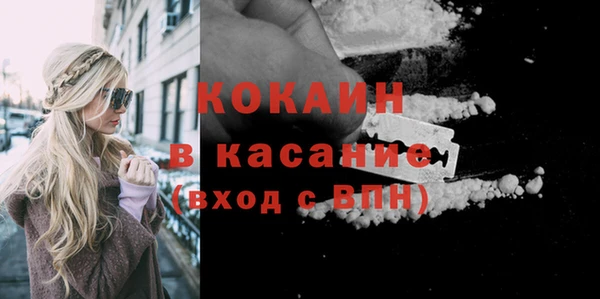 шишки Болотное