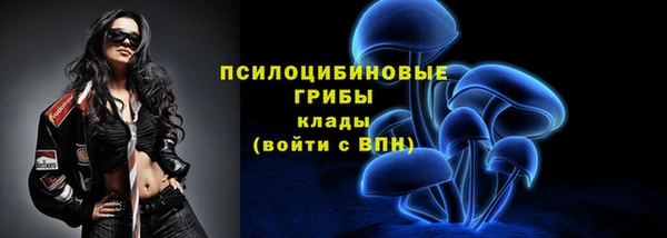 ешки Нефтекумск