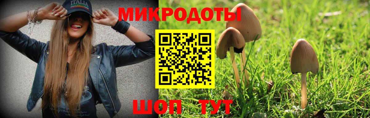 Галлюциногенные грибы мицелий  Псилоцибиновые грибы Magic Shrooms  Грозный  Вход с VPN 