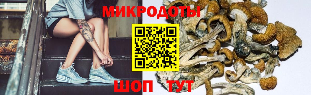 Галлюциногенные грибы мицелий Грозный